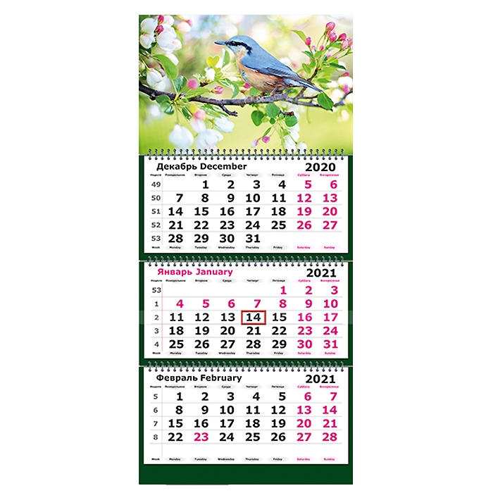 Календарь квартальный на 2021 г.  "Птица на цветущей ветке" 3 блока, 3 спирали — Абсолют